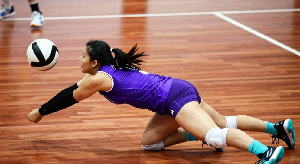 Bốn trang báo cáo, một chỉ số: nghề phân tích bóng chuyền nhìn từ khoảng trống dữ liệu