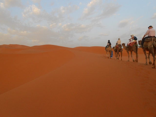 Excursion 4x4 desert - Camel trip
